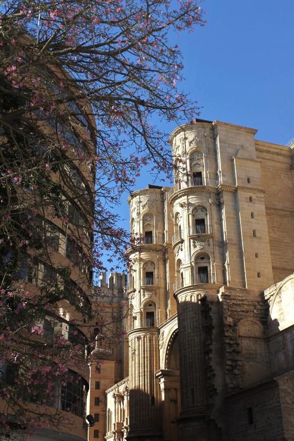 Casa La Victoria * Málaga